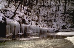 Clifty Creek a beautiful sight in winter!
